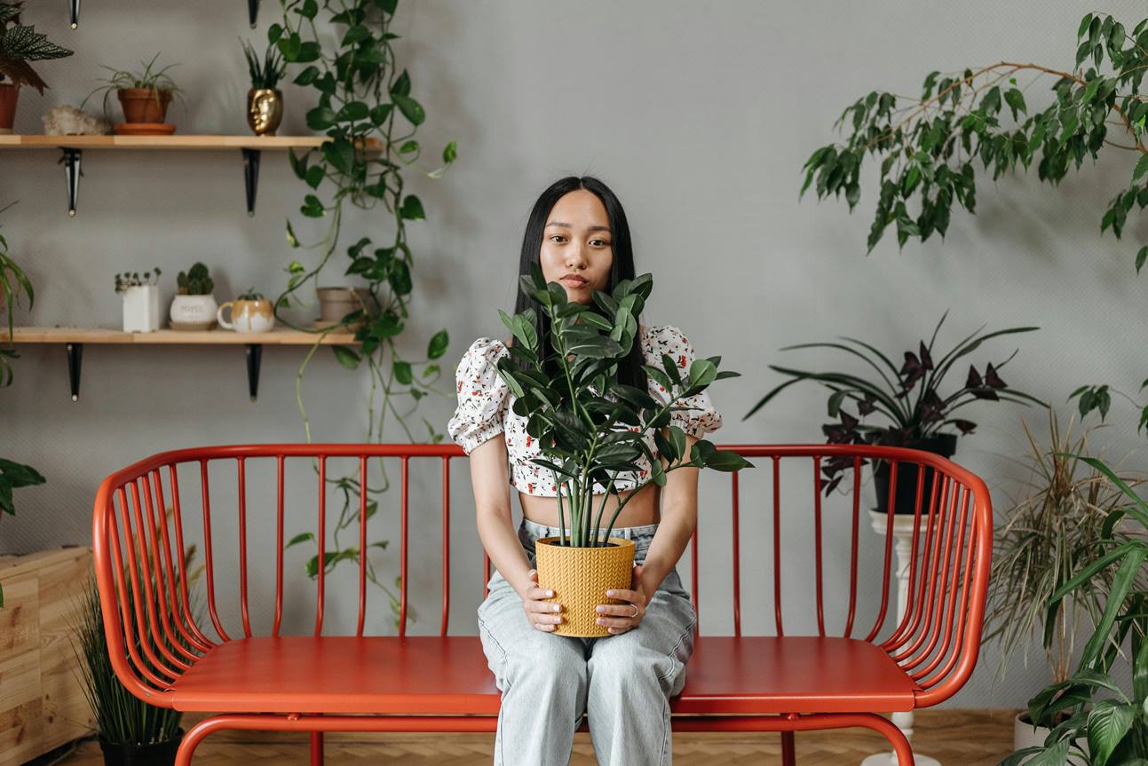 Was sind die Grundprinzipien des Feng Shui bei der Einrichtung einer Wohnung?