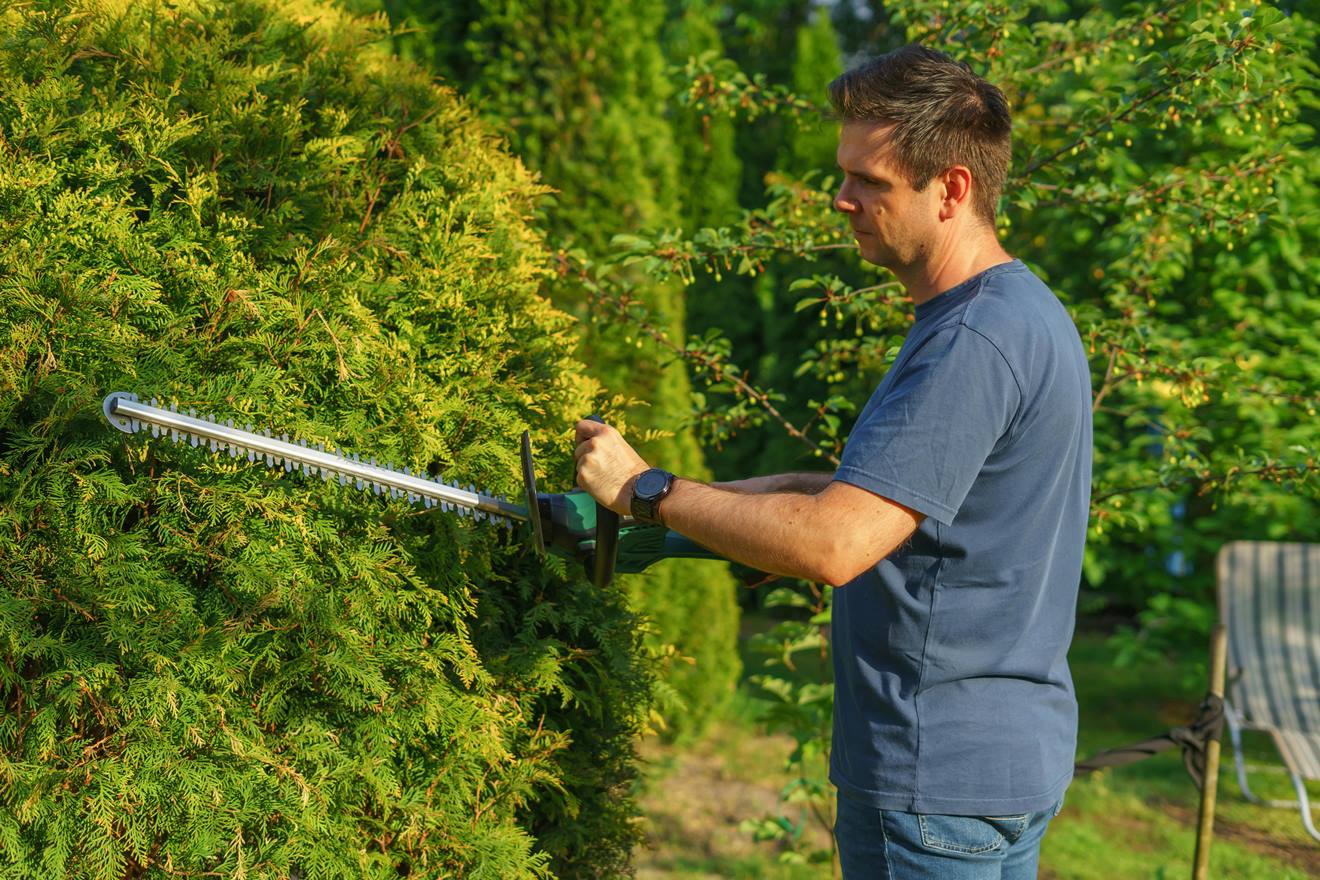 Frühlingsgarten aufräumen: Vorbereitung auf die Frühlingssaison